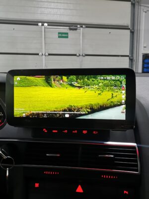 tiktok audi screen