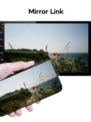 Multimedia supports Mirror Link function